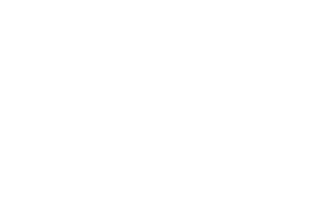 slider element