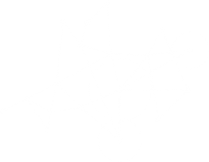 slider element