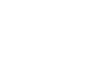 slider element 3